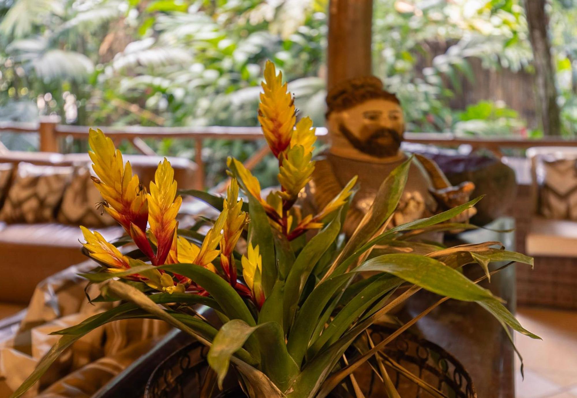 Itamambuca Eco Resort
